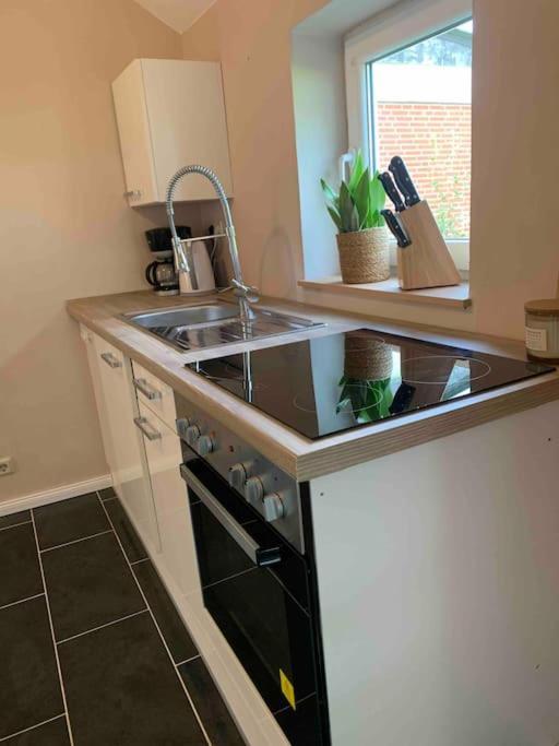 Apartment Gruener Friese *
